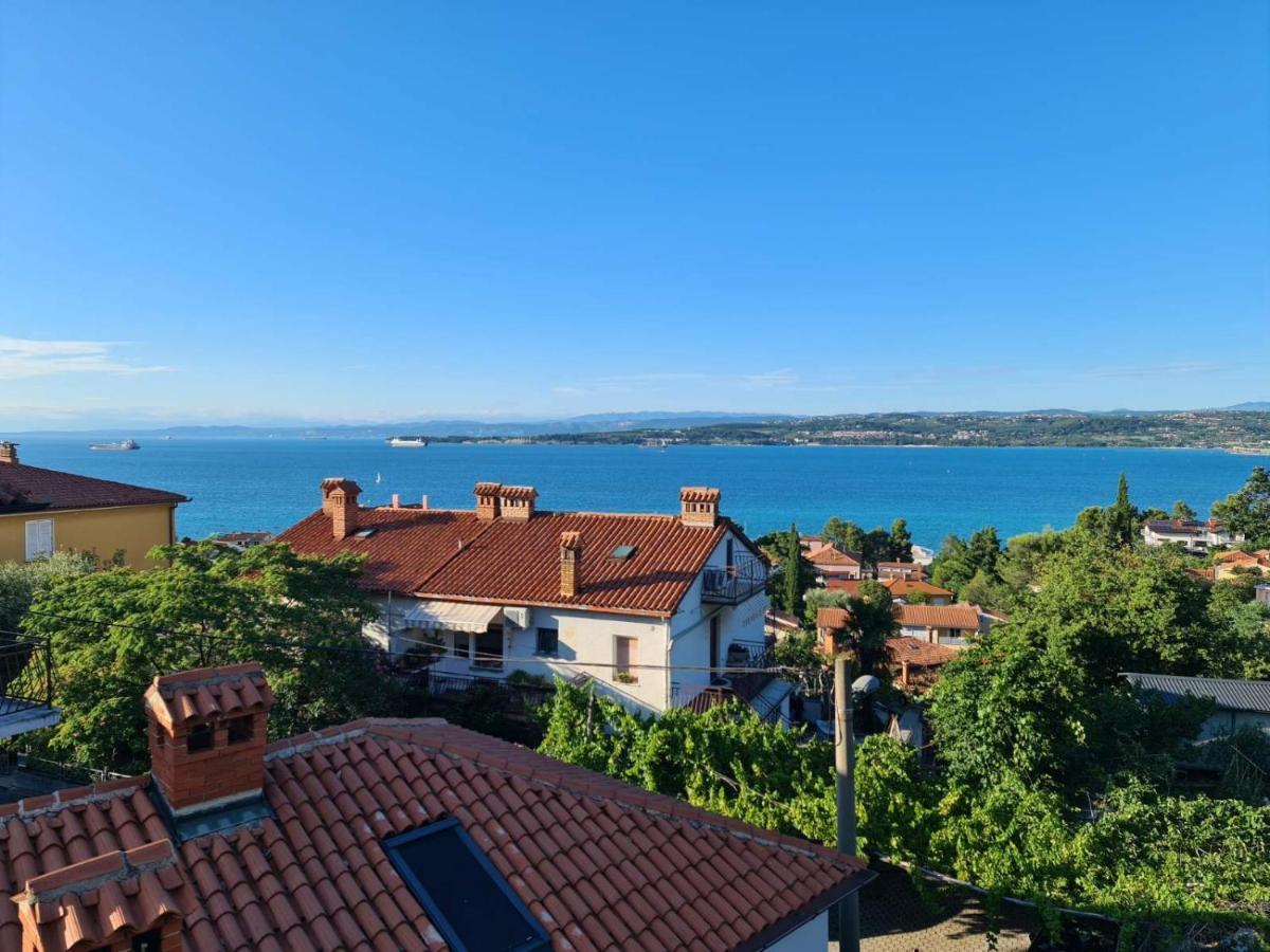 Amore Koper Apartman Kültér fotó